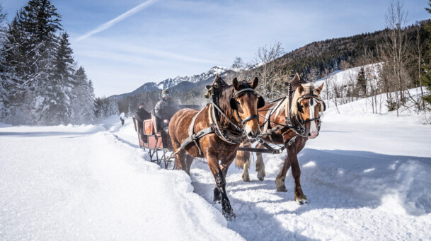 Pferdekutsche in winterlicher Landschaft