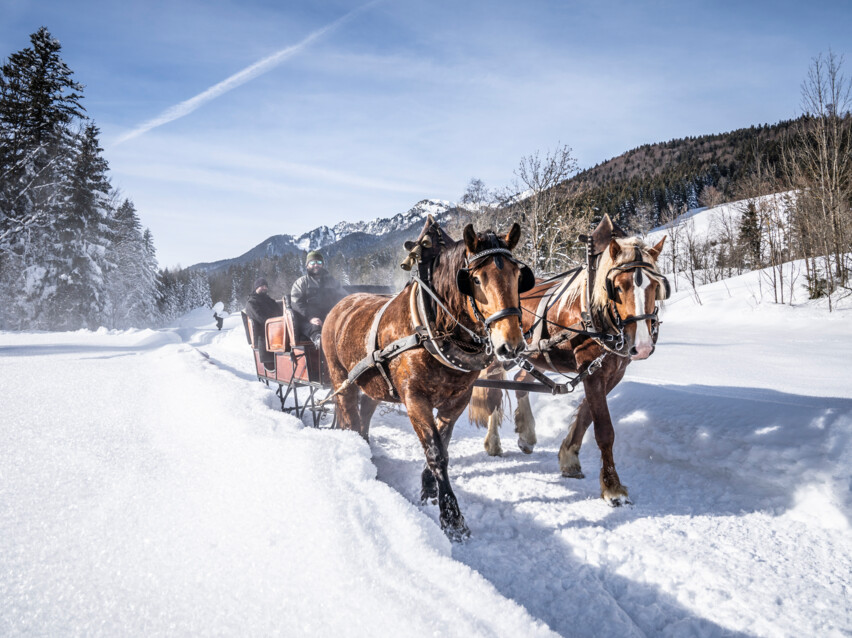 Pferdekutsche in winterlicher Landschaft