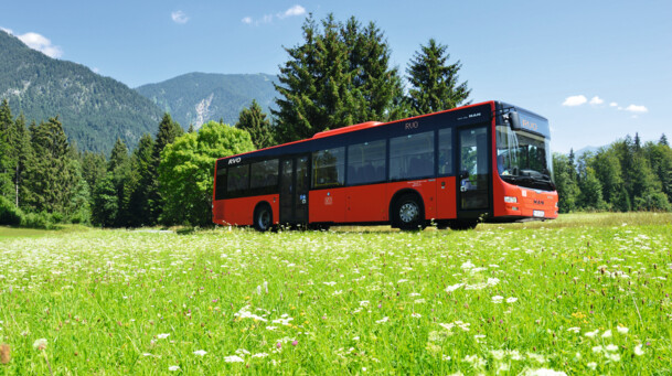 Bergbus in einer Wiesen- und Berglandschaft