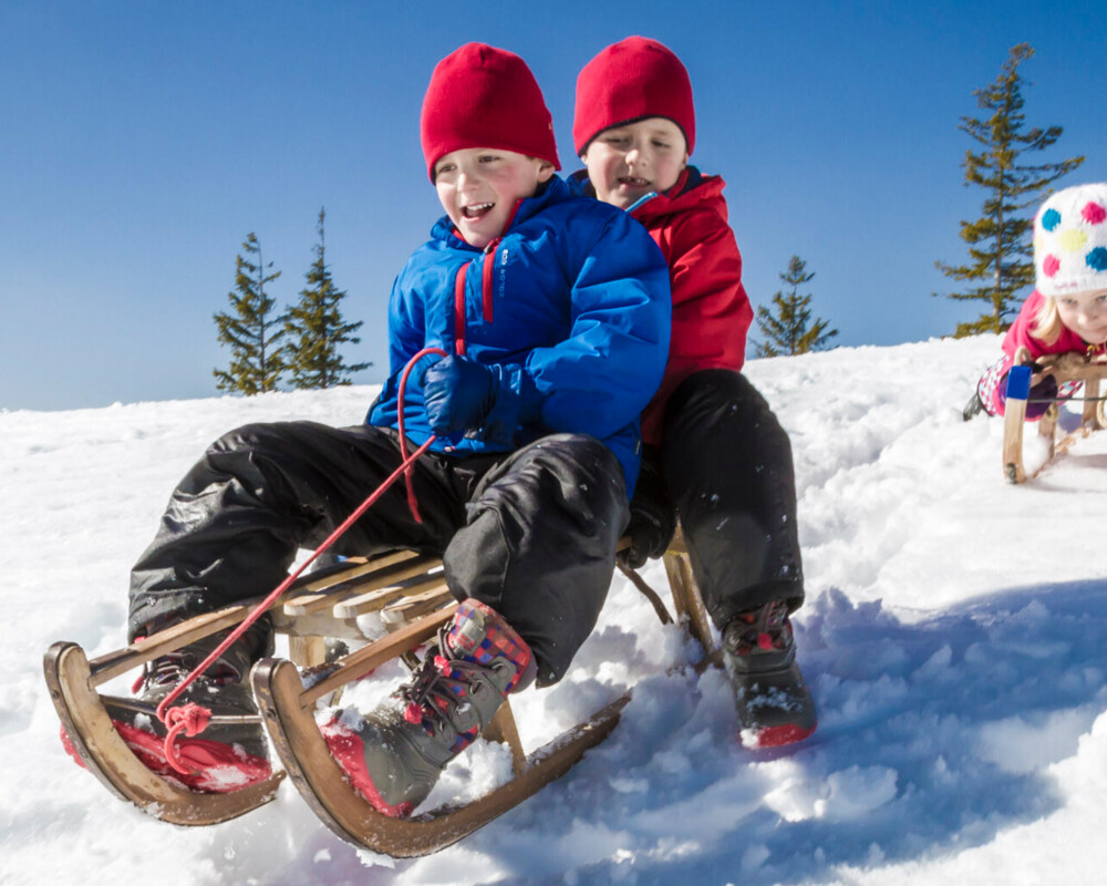 Drei Kinder beim rodeln