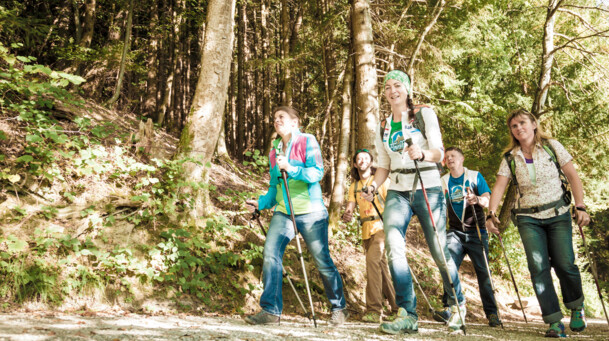 5 Personen beim Wandern durch den Wald mit Wanderstöcken