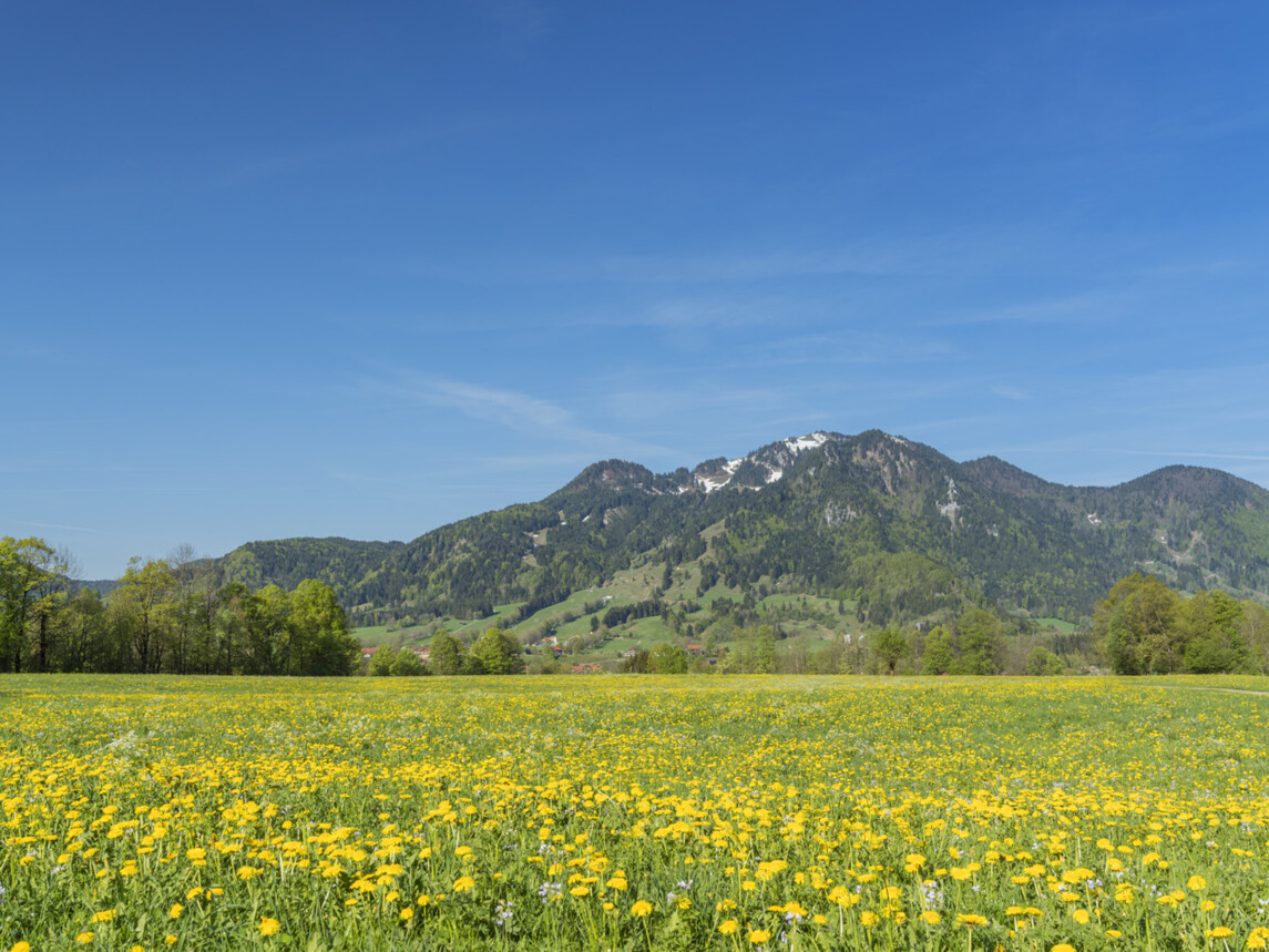 Tourismus Lenggries, Foto: C. Bäck, Frühling in Lenggries mit Blick auf das Brauneck Frühling in Lenggries mit Blick auf das Brauneck