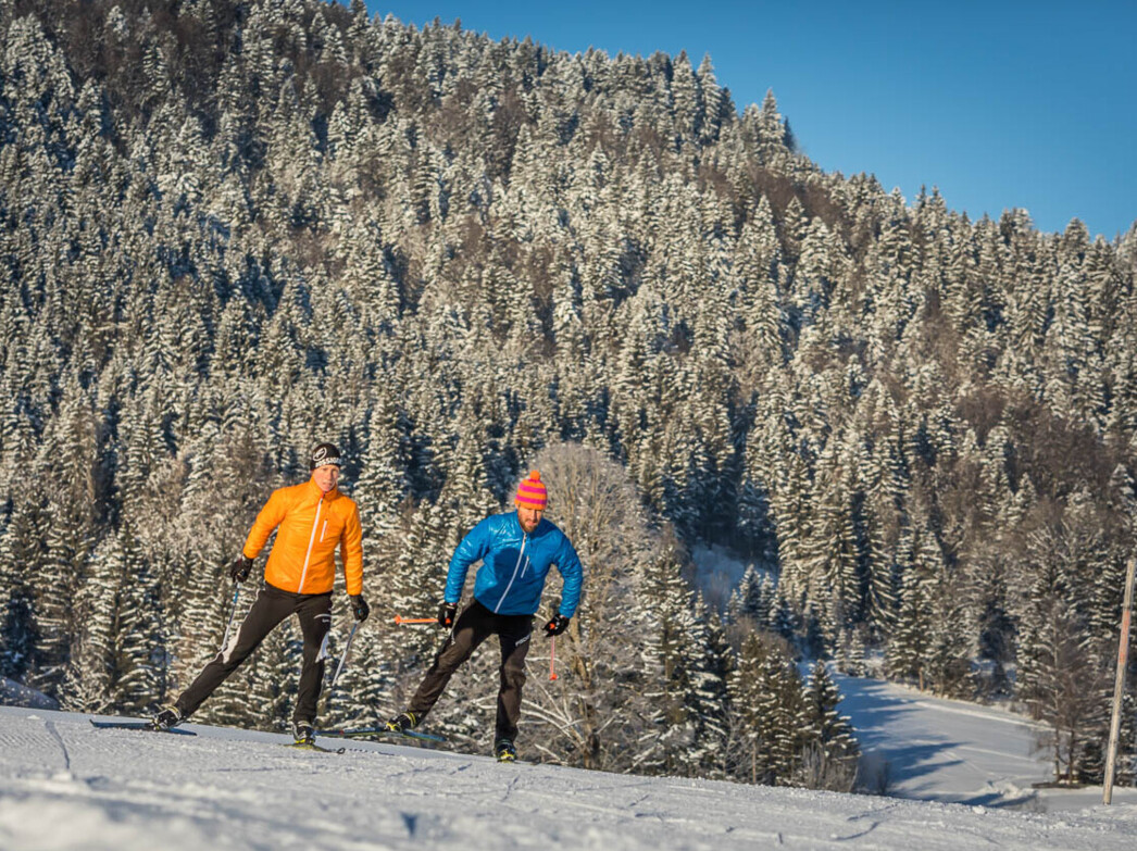 Zwei Männer in herrlicher Winterlandschaft beim Skaten