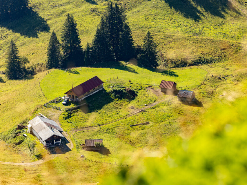 Blick auf zwei Almen und kleine Stadl auf grüner Wiese in einer Senke