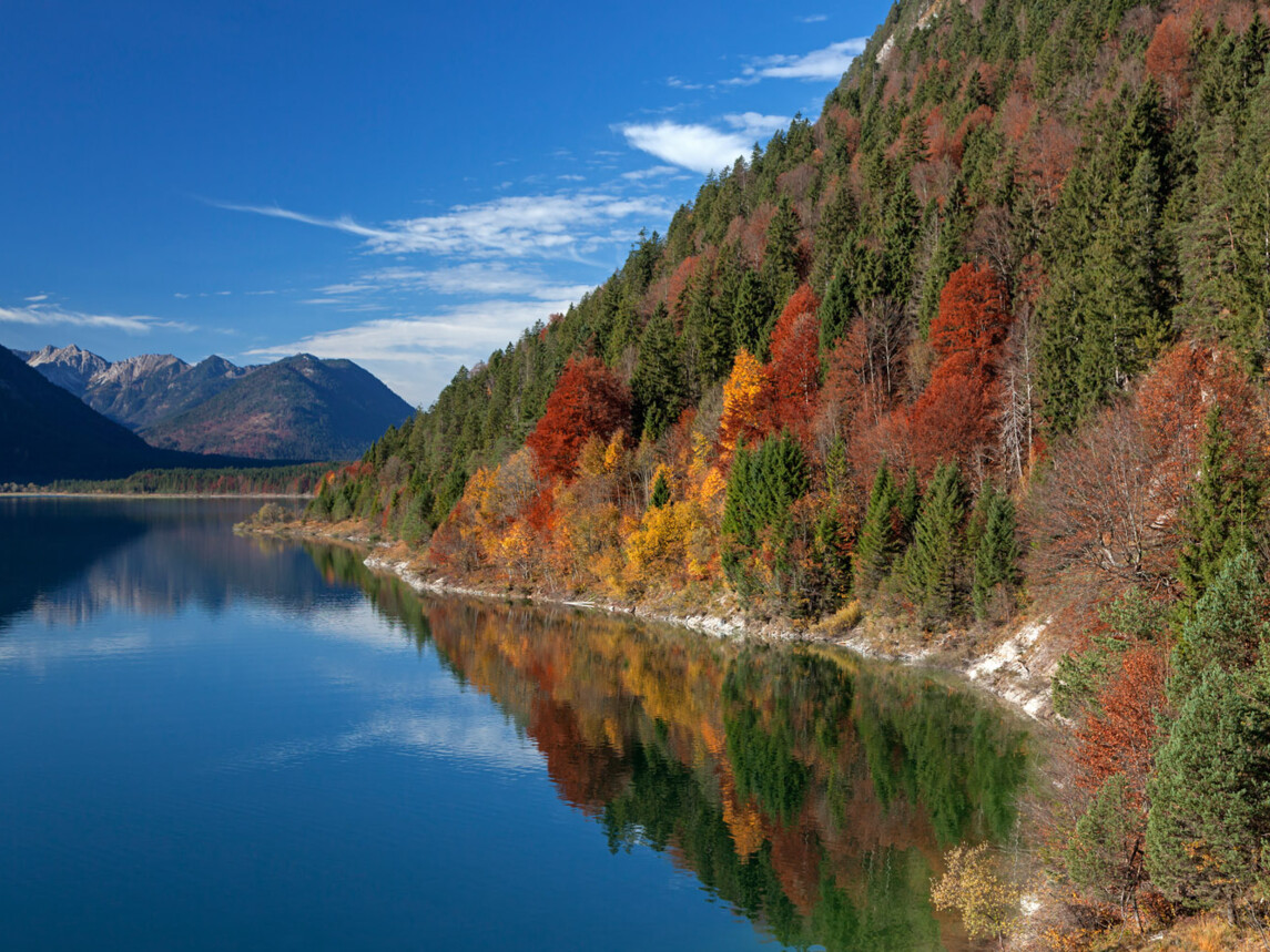 Bunte Herbststimmung am Sylvensteinsee