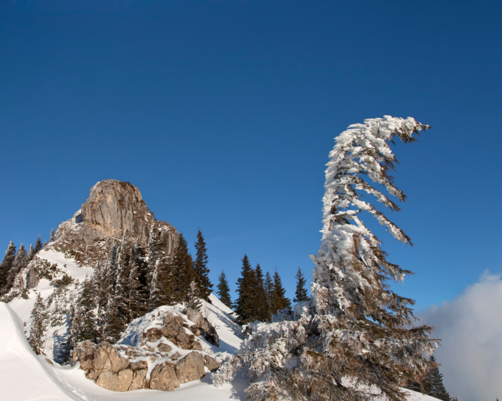 Verschneite Winterlandschaft am Brauneck