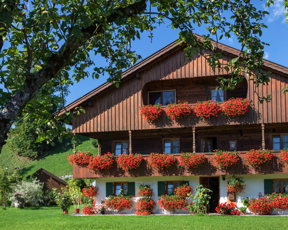 Außenansicht Bauernhaus in Wegscheid mit Geranien