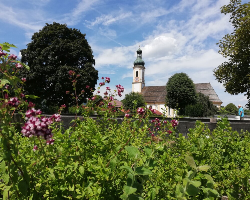 Kräuterpfad am Dorfbach mit Kirche im Hintergrund