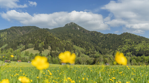 Blick zum Geierstein im Frühling