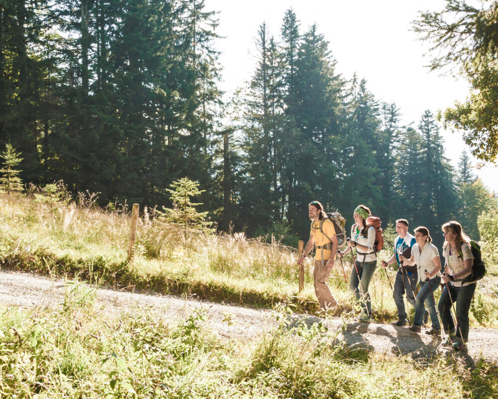Wanderung in der Gruppe auf die Denkalm