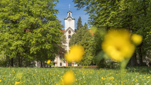 Schloss Hohenburg in Lenggries mit Blumenwiese im Vordergrund