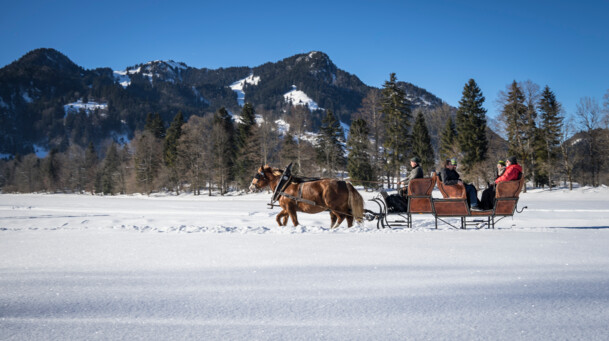 Pferdeschlittenfahrt Lamprechthof