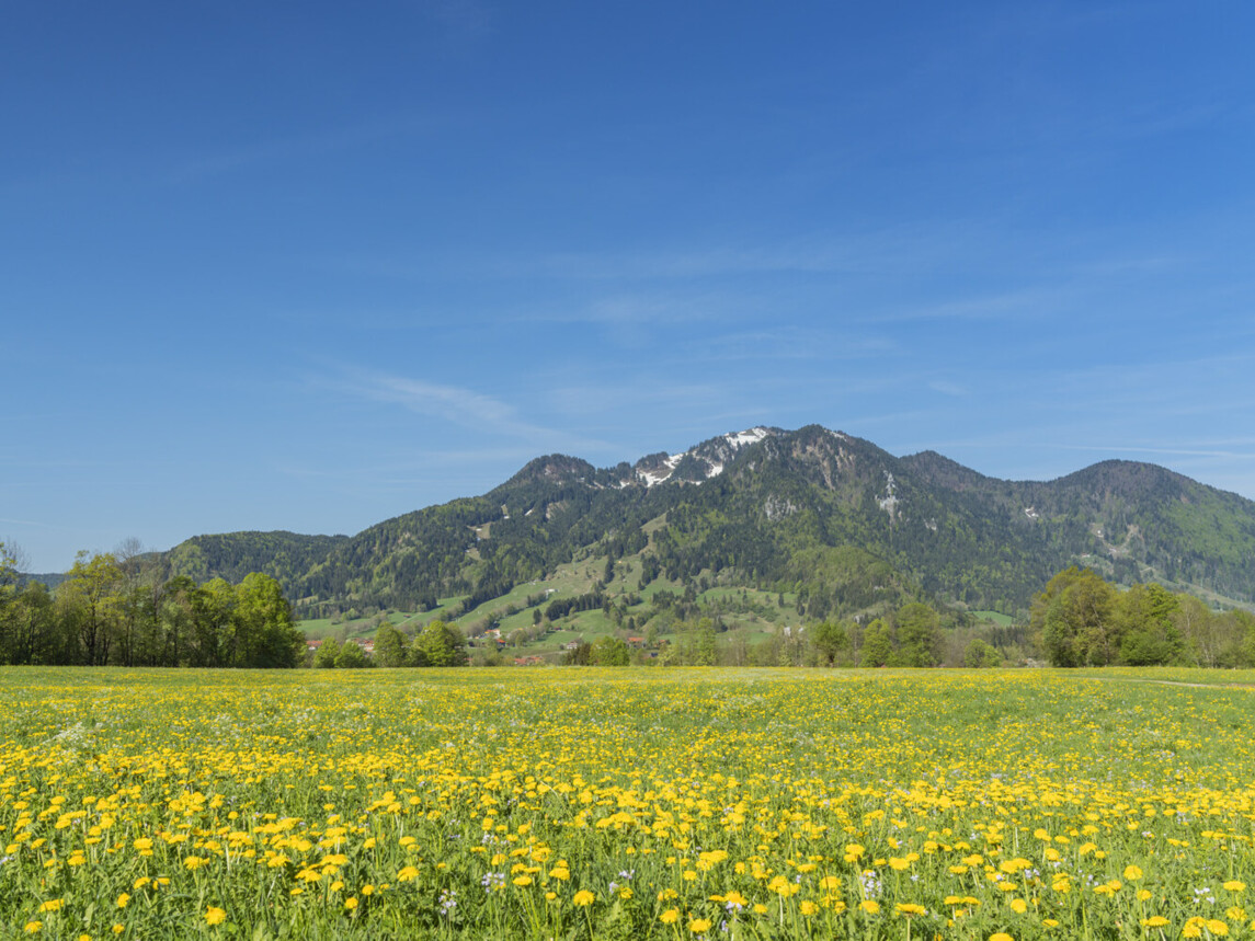 Frühling in Lenggries mit Blick auf das Brauneck