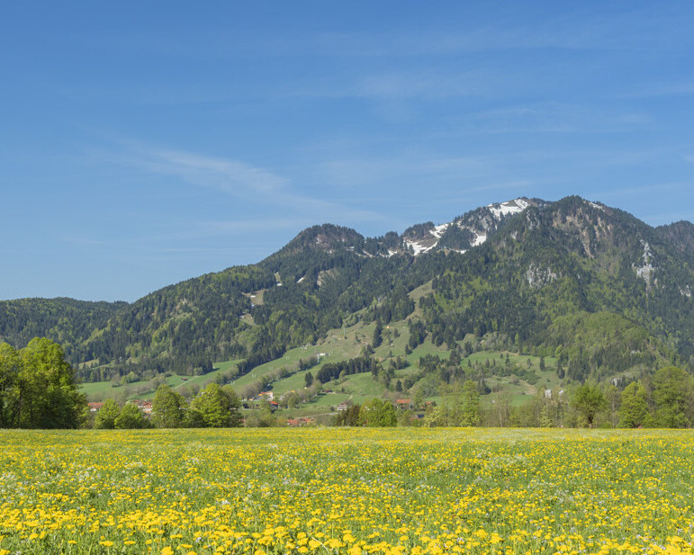 Tourismus Lenggries, Foto: C. Bäck, Frühling in Lenggries mit Blick auf das Brauneck Frühling in Lenggries mit Blick auf das Brauneck