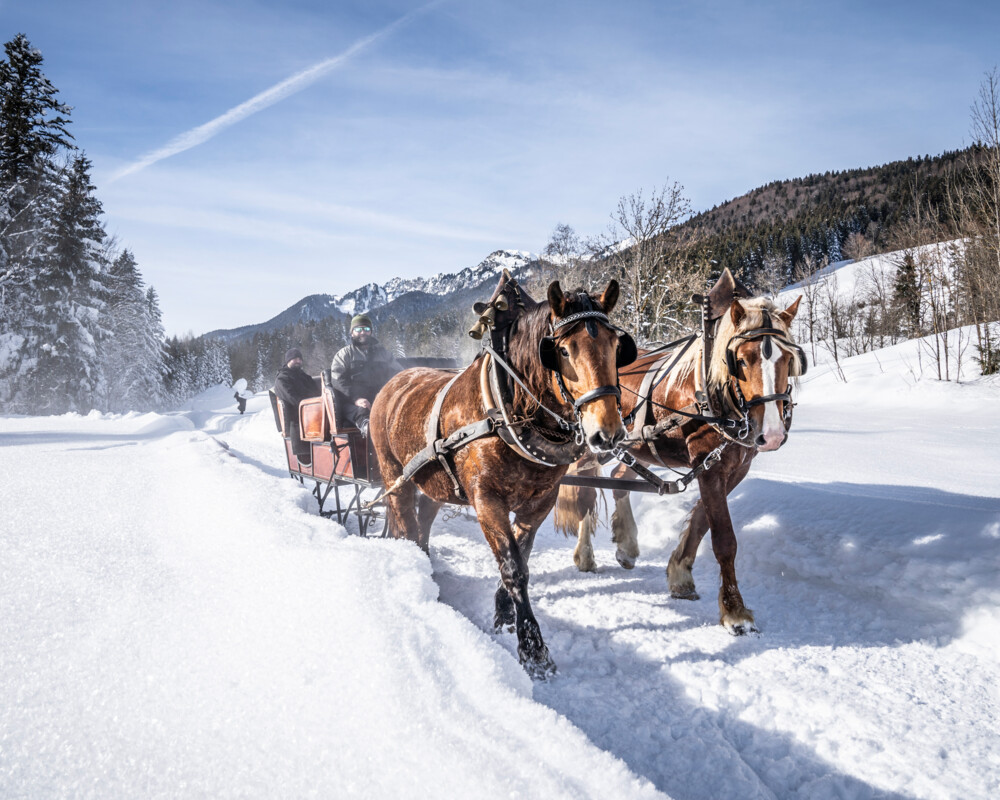 Pferdekutsche in winterlicher Landschaft