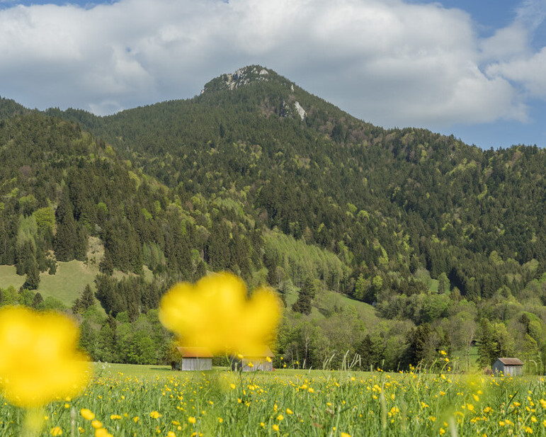 Blick zum Geierstein im Frühling