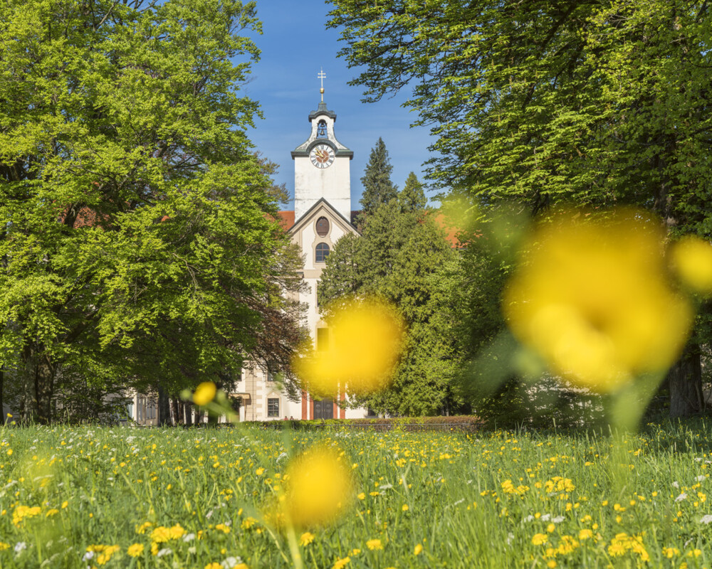 Schloss Hohenburg in Lenggries mit Blumenwiese im Vordergrund