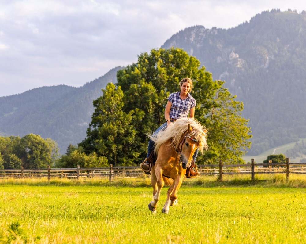 reiten am Moralthof