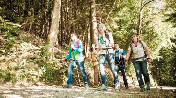 Touristinformation, Spaziergang 5 Personen beim Wandern durch den Wald mit Wanderstöcken