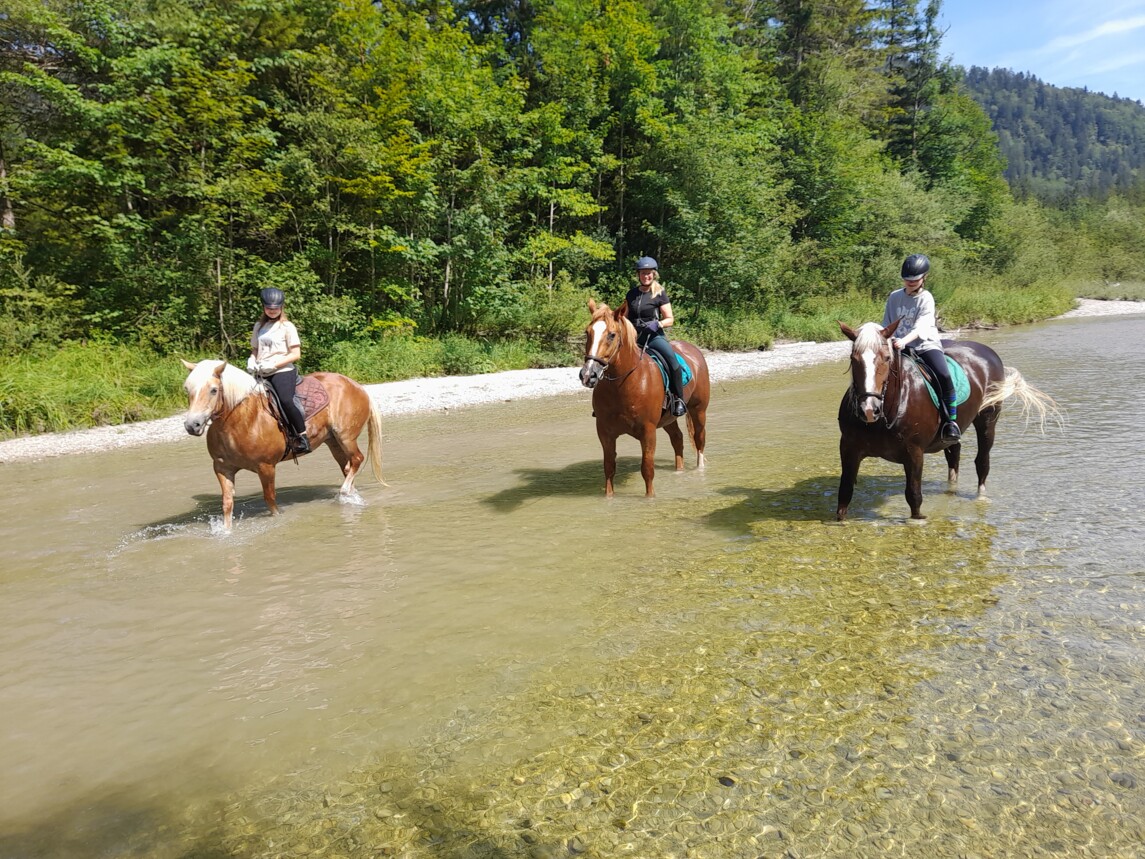 Ausritt mit Erfrischung an der Isar