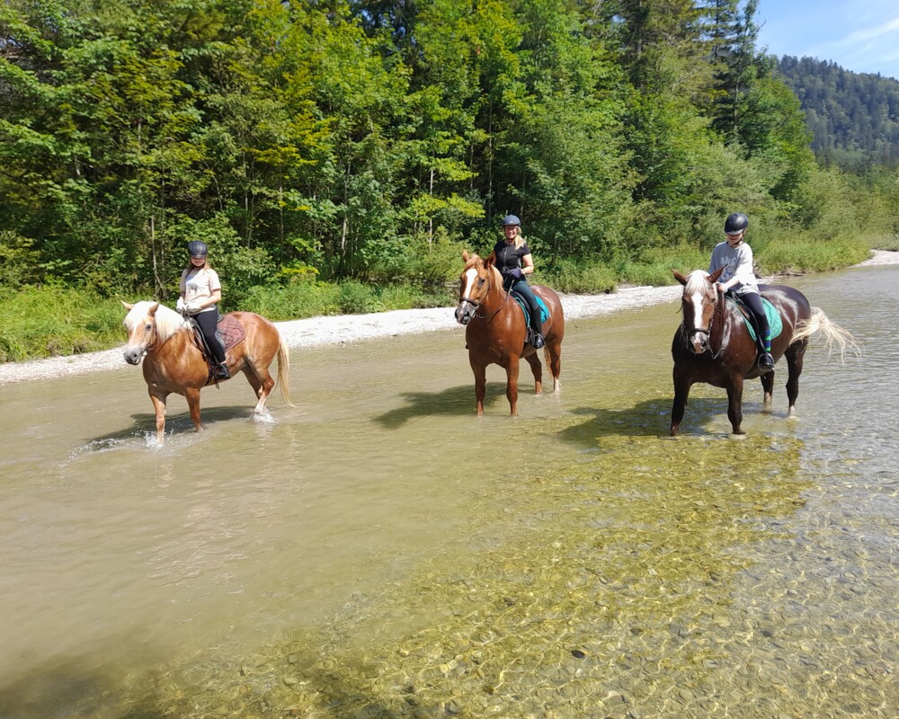 Ausritt mit Erfrischung an der Isar