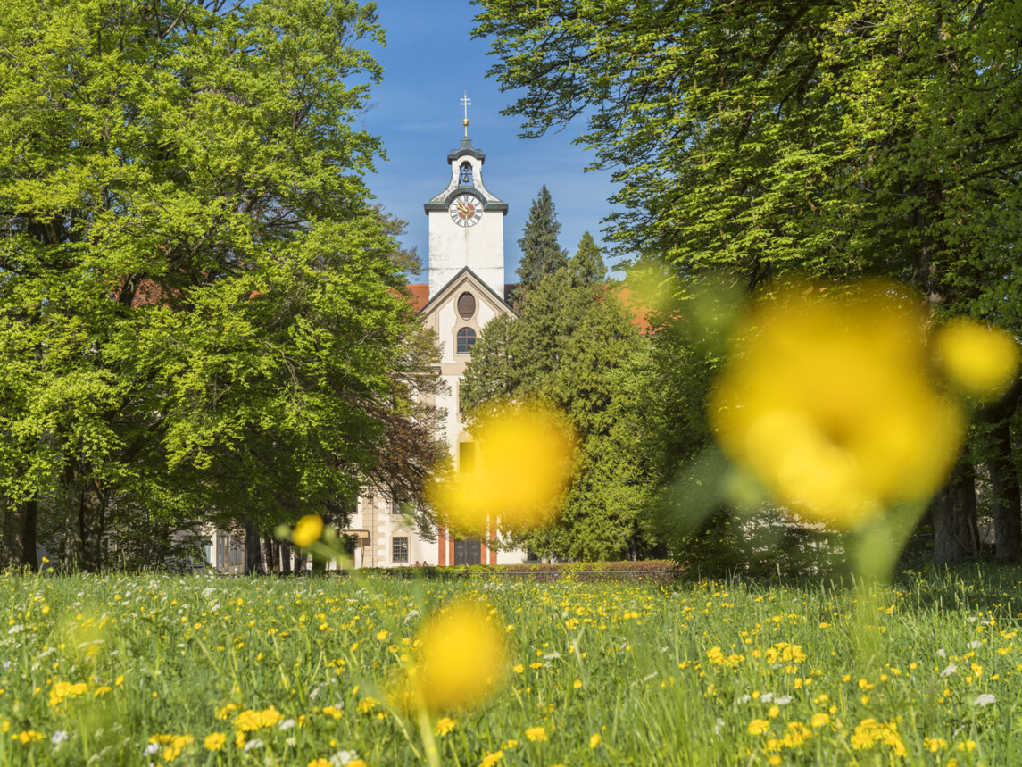 Schloss Hohenburg in Lenggries mit Blumenwiese im Vordergrund