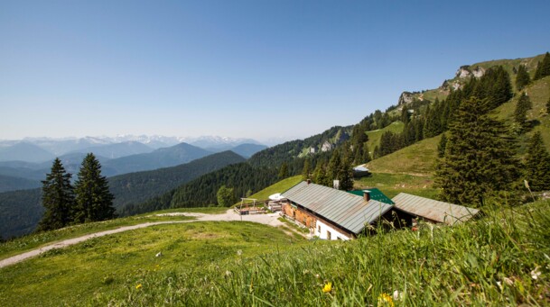 Die Almhütte Quengeralm liegt unterhalb eines Grashügels umgeben von grünen Almwiesen und einem blauen Himmel. Von der Hütte aus hat man einen Blick direkt in das Karwendelgebirge. 