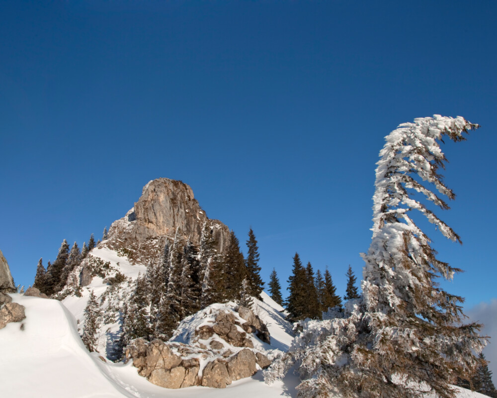 Verschneite Winterlandschaft am Brauneck